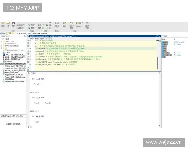 穆西亚拉终结效率的稳定性分析与提升空间